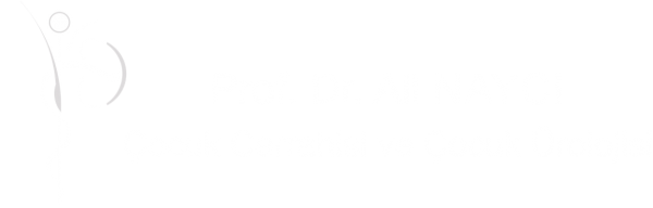 Prof. Dr. Ali Naycı